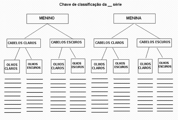 Plano de Aula - 3º Ano - Critérios para classificar objetos