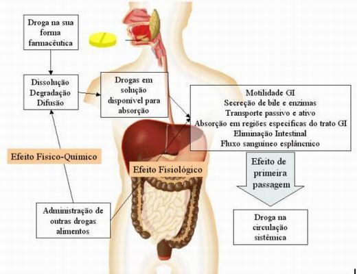 Farmacocinética