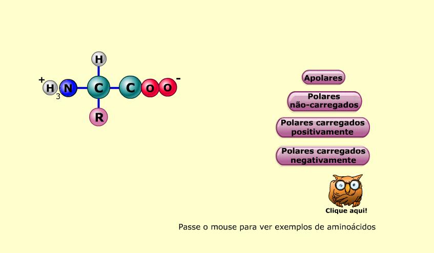 http://portaldoprofessor.mec.gov.br/storage/discovirtual/aulas/1599/imagens/aminoacidos.jpg