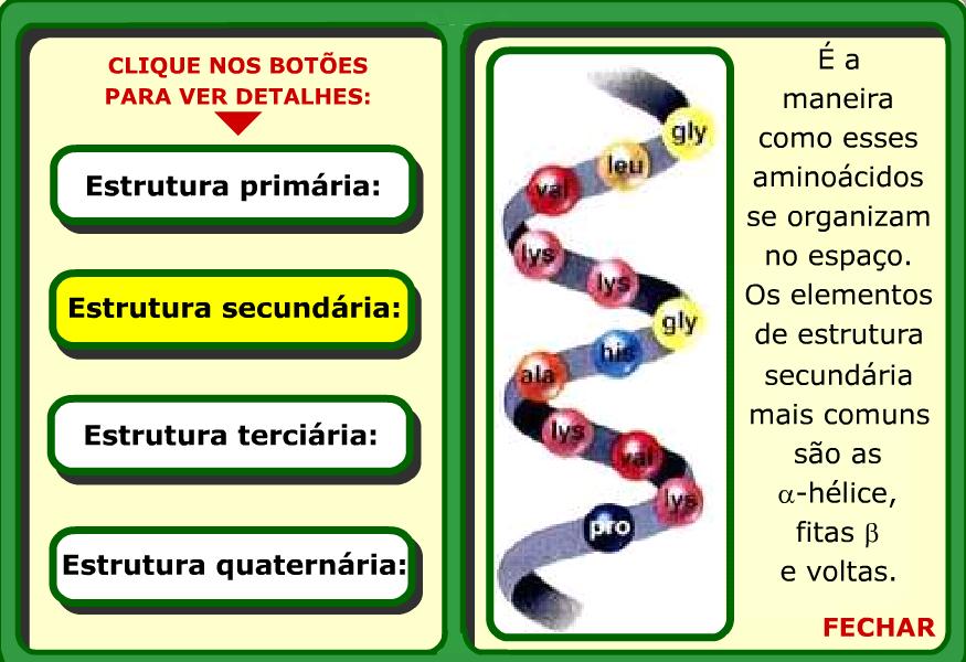 proteinas. biológica às proteínas.