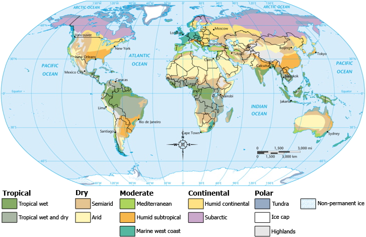world map globe. world map globe.