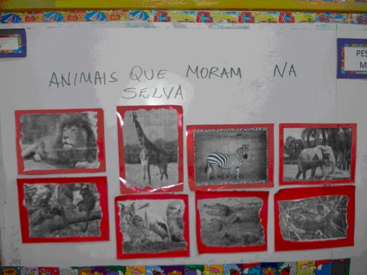 Vídeos Educativos para Crianças, APRENDA O NOME DOS ANIMAIS COM OS OVOS  SURPRESA