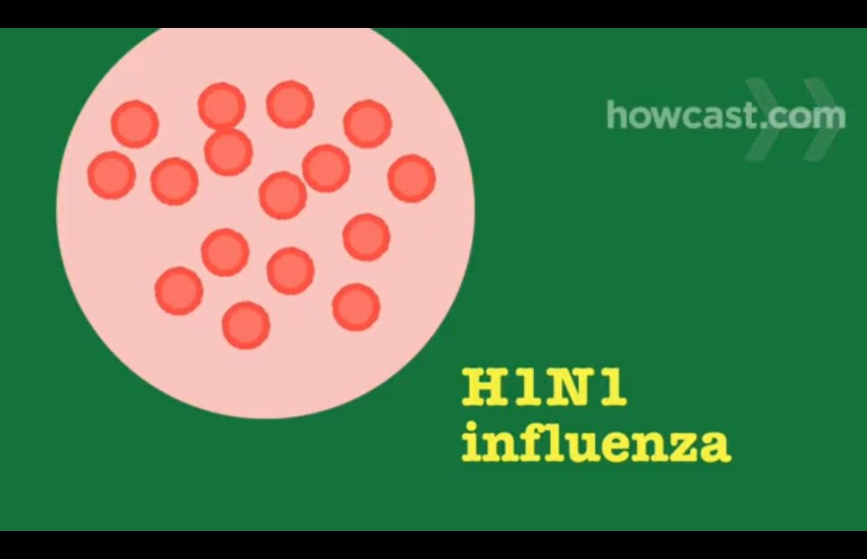How to Prevent Swine Flu