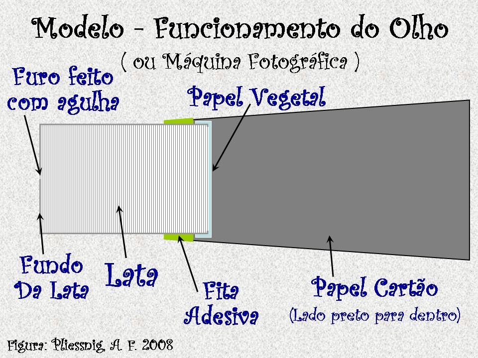 http://portaldoprofessor.mec.gov.br:8080/discovirtual/74255487987/img/mode
lo_olho.jpg