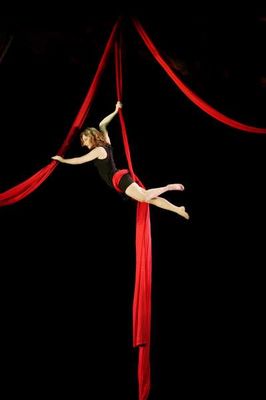 O Mundo do Circo