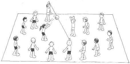 EvoluÃ§Ã£o E HistÃ³ria Do Voleibol  Voleibol, Volei, Atividades de  educação física