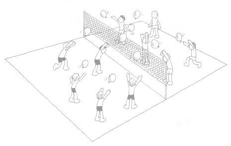 EvoluÃ§Ã£o E HistÃ³ria Do Voleibol  Voleibol, Volei, Atividades de  educação física