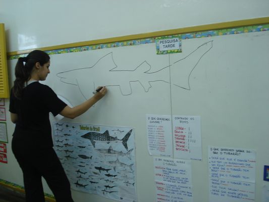 Desenhando o Tubarão