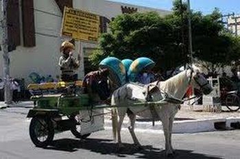 Vídeo mostra cavalo puxando metade de carro como se fosse carroça