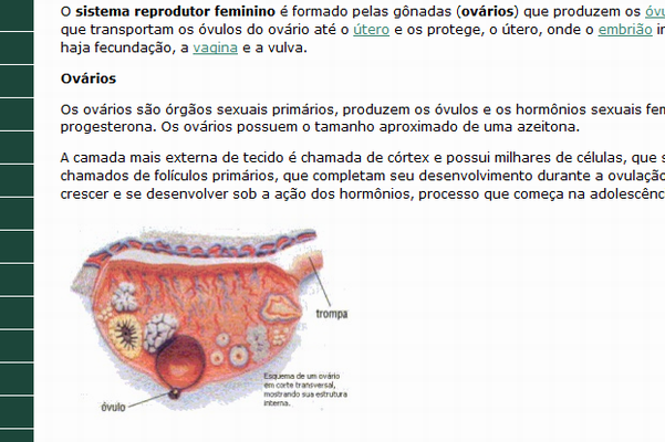 Divisão celular - Biologia - InfoEscola