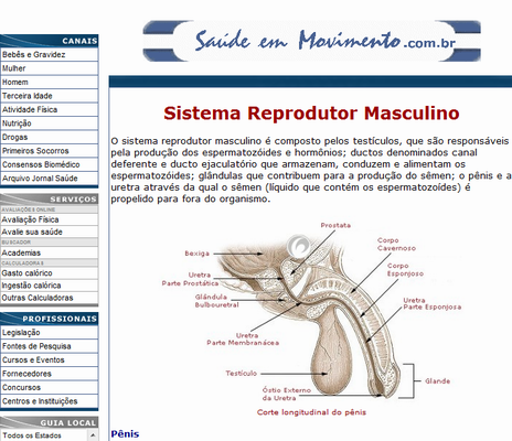 Portal del Profesor - Quero voltar invisível, pra dentro da barriga da mamãe