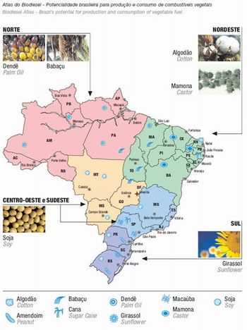 Mapa Brasil biodiesel
