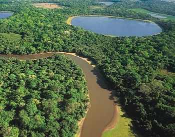Pantanal 2