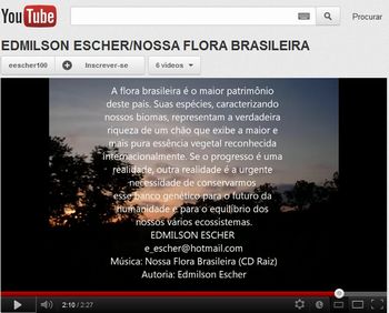 Flora brasileira - video