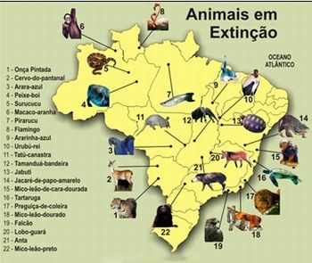 Animais em extinÃ§Ã£o - mapa do Brasil