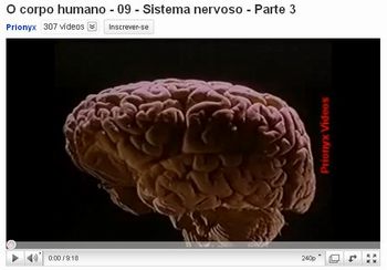 cerebro 4
