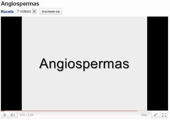 angiospermas 11