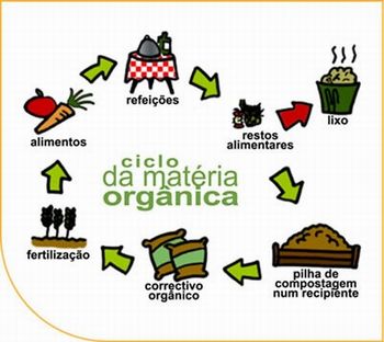 ciclo matéria orgânica