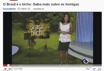 o brasil Ã© o bicho for