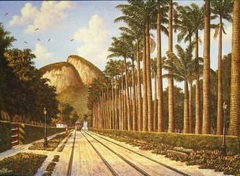 Palmeira imperial do Jardim BotÃ¢nico do Rio