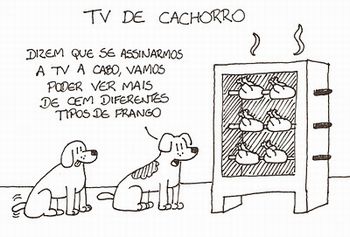 tv d cachorro