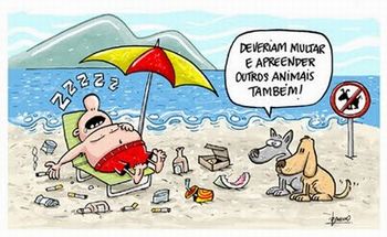 Cachorro e praia