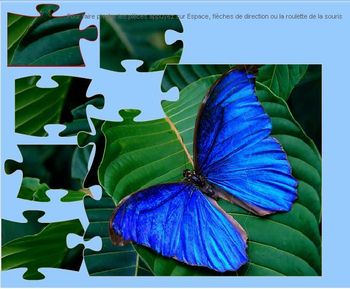 borboleta blue