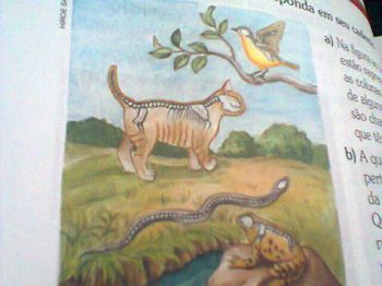quadro ao lado