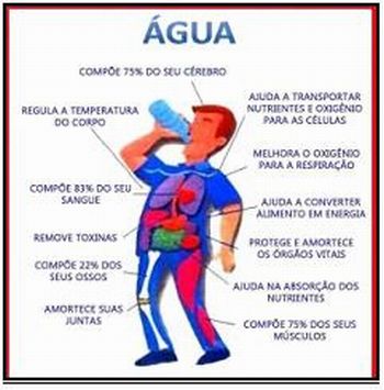 AIMPORTANCIADAAGUA