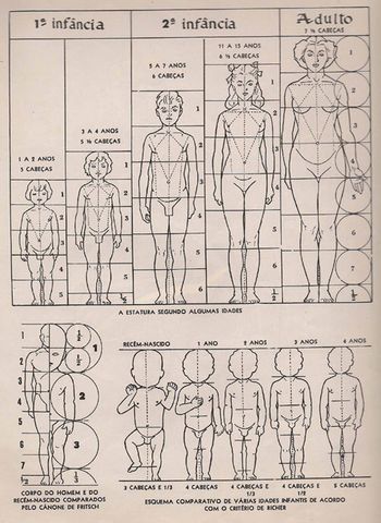 Quadro anatomia humana