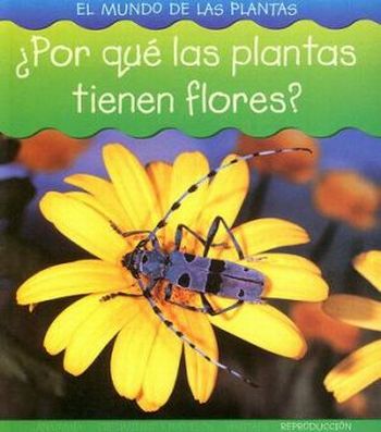 Porque as plantas tem flores