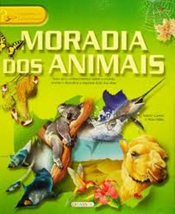 vívido animal educativo modelo plástico natural mundo insecto