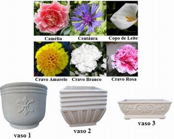 Figura 5:  Imagem de flores e vasos
