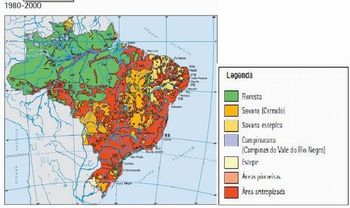 Mapa vegetaÃ§Ã£o nativa do Brasil (1980-2000)