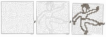 Figura 4: Exemplo de realizaÃ§Ã£o a atividade do labirinto