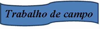 trabalho de campo