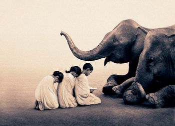 crianÃ§as e elefantes