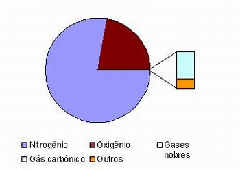 Grafico - gas carbonico e oxigenio