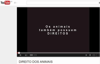 Direitos dos animais - video