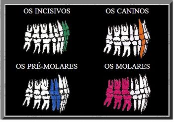 todos os dentes