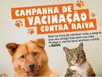 Image result for campanha nacional de vacinação contra a raiva guine bissau