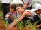 Todos os alunos participam do plantio das mudas no jardim da escola