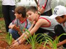 Meninos plantam mudas em canteiro