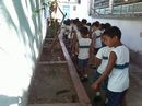 Alunos passam em frente a canteiros