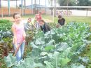 Alunos na horta