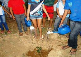 Alunos regam muda recém plantada