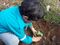 As crianças plantaram as mudas de porongo nas propriedades das famílias