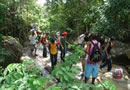 Alunos participam de ecotrilha em Pernambuco.