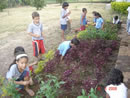 Estudantes participam de atividade agrícola no Aprendizado Marista.