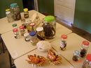Coleção de animais expostos na Sala Verde. 